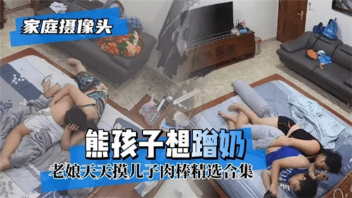 家庭摄像头：人妻巨乳被小狼狗偷拍狂吸内射